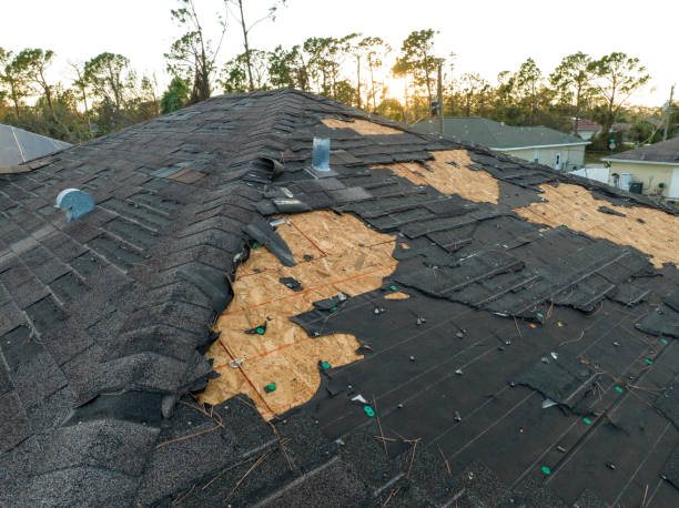 Best Roof Insulation Installation  in Anaheim, CA